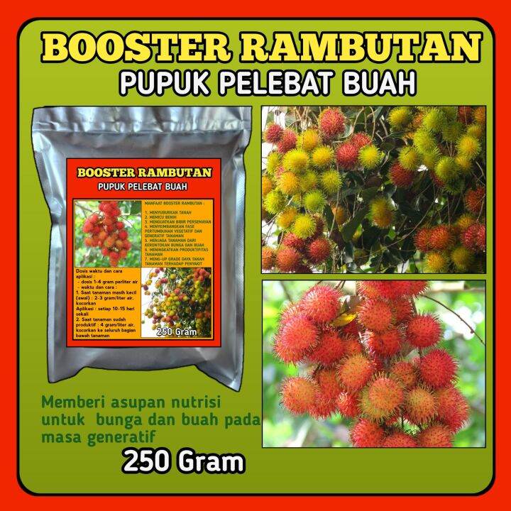 Booster Rambutan Pupuk Pelebat Buah Nutrisi Untuk Bunga Dan Buah Anti