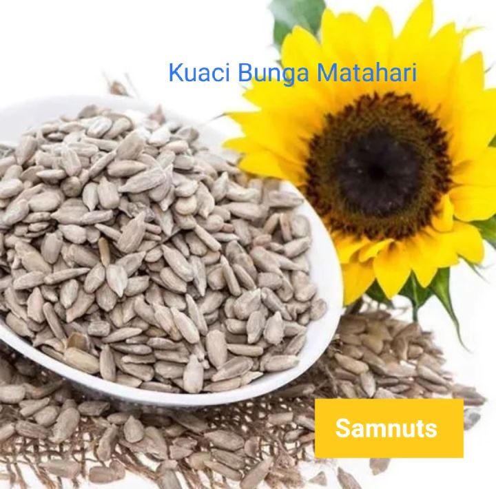 Roasted Sunflower Seeds Kuaci Bunga Matahari G Lazada