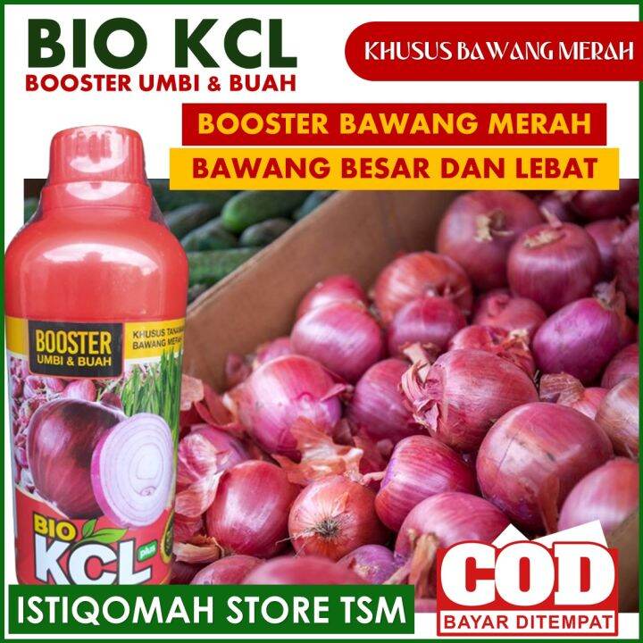 Bio Kcl Plus Ml Pupuk Booster Bawang Merah Pembesar Umbi Dan Buah