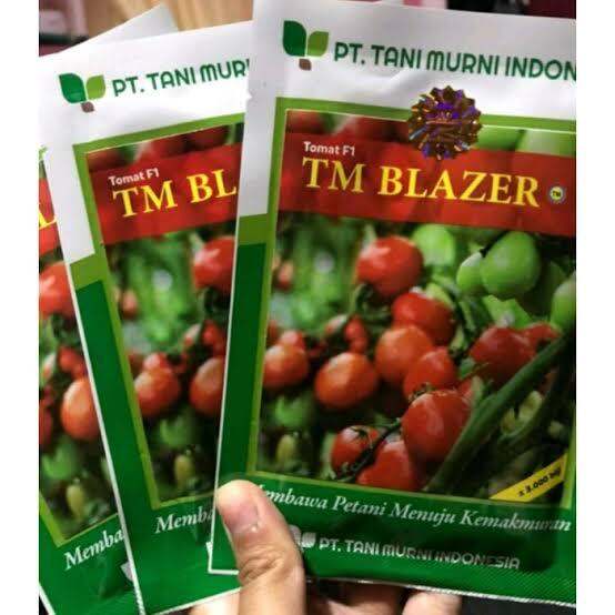 Benih Tomat TM Blazer F1 10 Gram 3000 Butir Lazada Indonesia