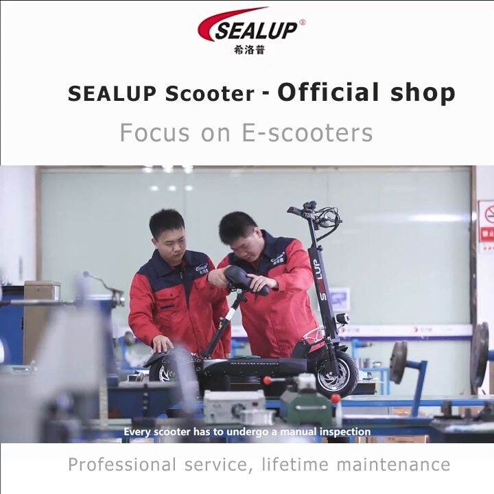 Warranty Year Sealup Q High Performe Electric Scooter W W