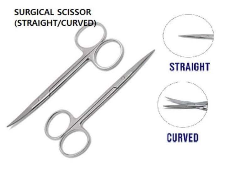 IRIS SCISSOR STRAIGHT CURVED Lazada PH