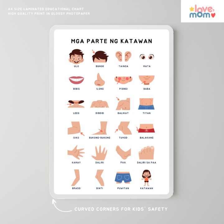 Minimalist Tagalog Parts Of The Body Panahon Educational Wall Chart