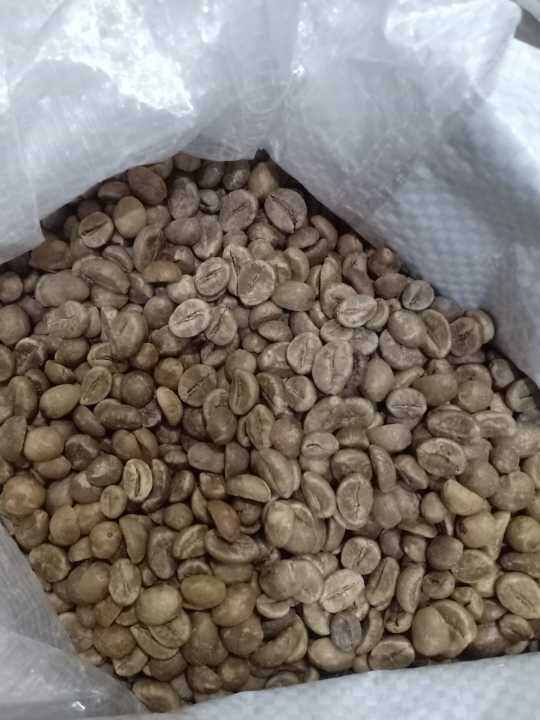 Green Bean Robusta Biji Kopi Mentah Jawa Barat Grade 1 Kemasan