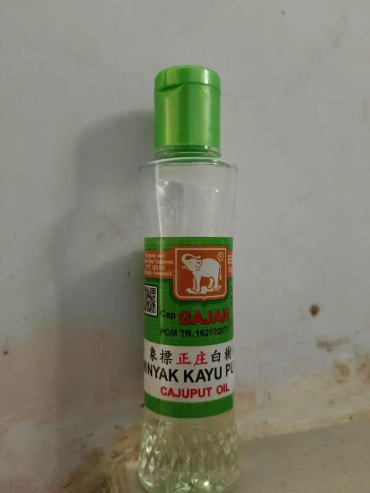 Minyak Kayu Putih Cap Gajah Lazada Indonesia