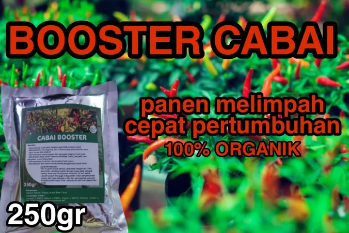 Pupuk Organik Cabe Booster Cabai Biar Cepat Berbuah Lebat Pelebat Buah