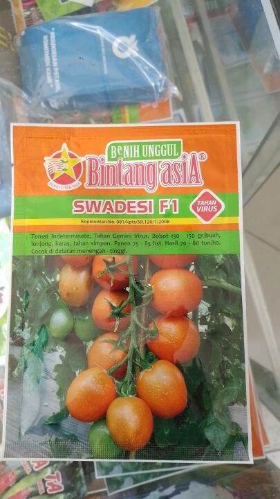 Benih Tomat Swadesi F Bintang Asia Kemasan Gram Lazada Indonesia