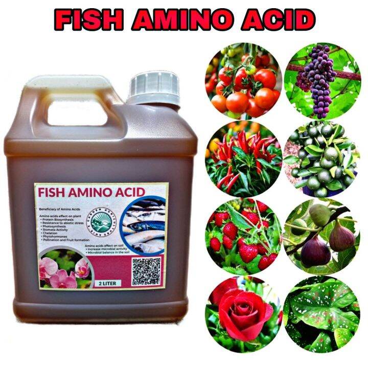 2 Liter Mol Ikan Fish Amino Acid FAA Pertanian Baja Buah Baja