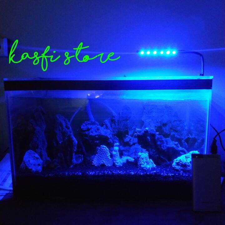 Lampu Aquarium Mata Lampu Led Smd Biru Lampu Ikan Hias Ikan Cupang