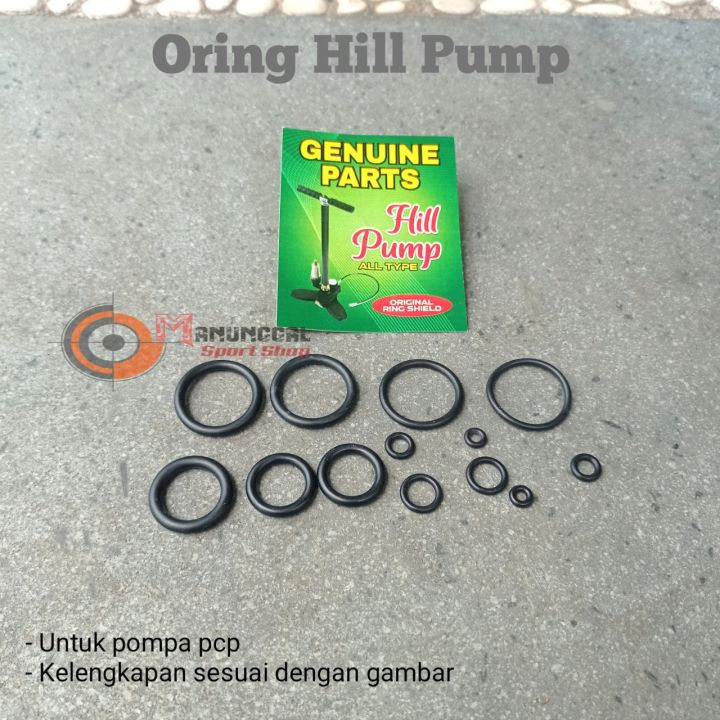 Oring Pompa Pcp Seal Pompa Seal Hill Pump Oring Sil Lazada