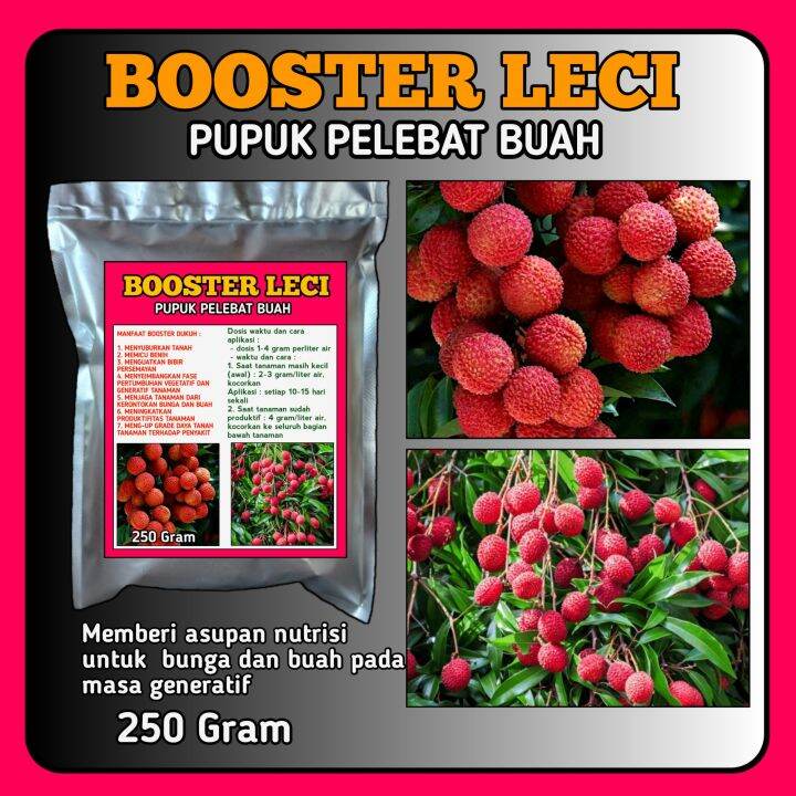 Booster Leci Pupuk Pelebat Buah Nutrisi Untuk Bunga Dan Buah Anti