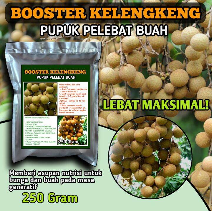 Pupuk Organik Booster Kelengkeng 250gram Pupuk Pelebat Buah Nutrisi