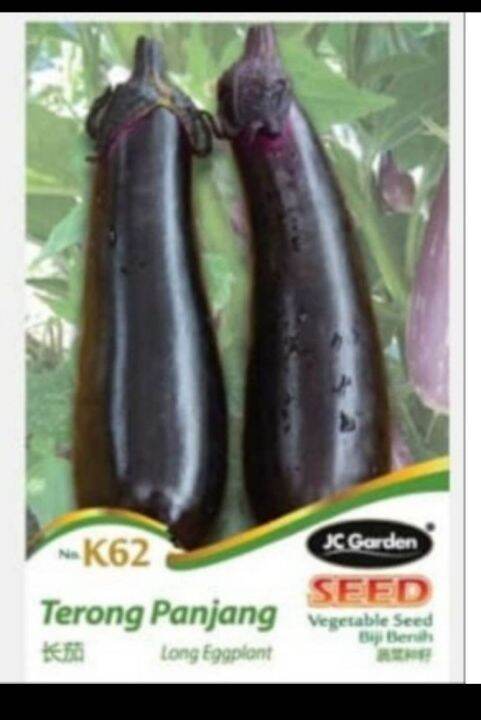 Jc Long Eggplant Vegetable Seed Biji Benih Terong Panjang Lazada