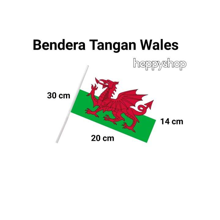 Bendera Tangan Stik Pawai Negara Wales Lazada Indonesia