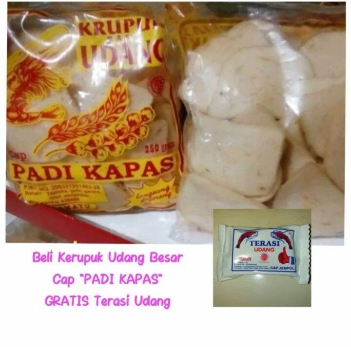 Kerupuk Udang Padi Kapas Besar Exp Des Gratis Terasi Khas Cirebon