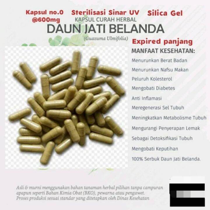 Kapsul Herbal Jamu Bubuk Jati Belanda Curah Isi 100 Butir Lazada