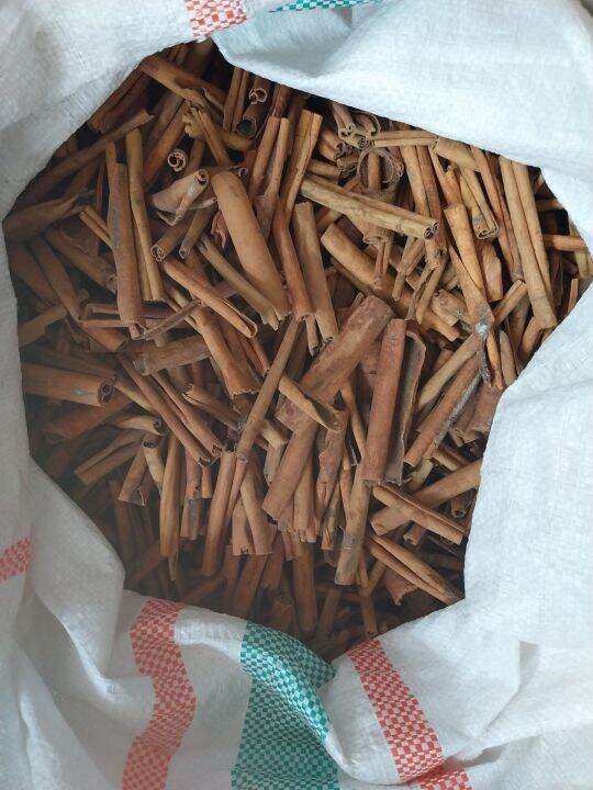 Kayu Manis Utuh 1000 Gram Kualitas Super CINNAMON STICK 1 KG Lazada