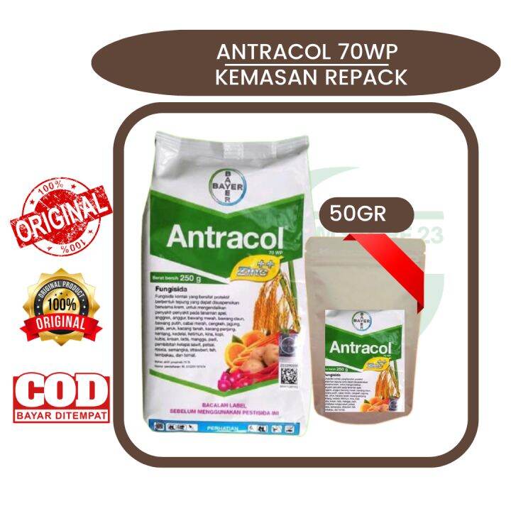 FUNGISIDA ANTRACOL 70WP 50 GRAM KEMASAN REPACK ORIGINAL Lazada Indonesia