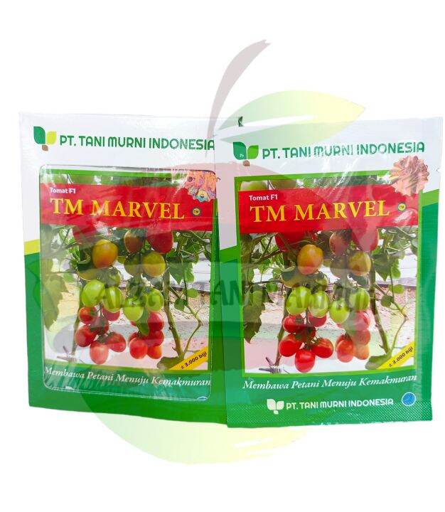 Benih Tomat Tm Marvel Isi Biji Tani Murni Lazada Indonesia