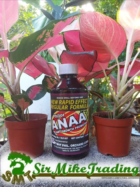 Philor Anaa Plant Growth Promoter 1 Liter 100 ORIGINAL Lazada PH