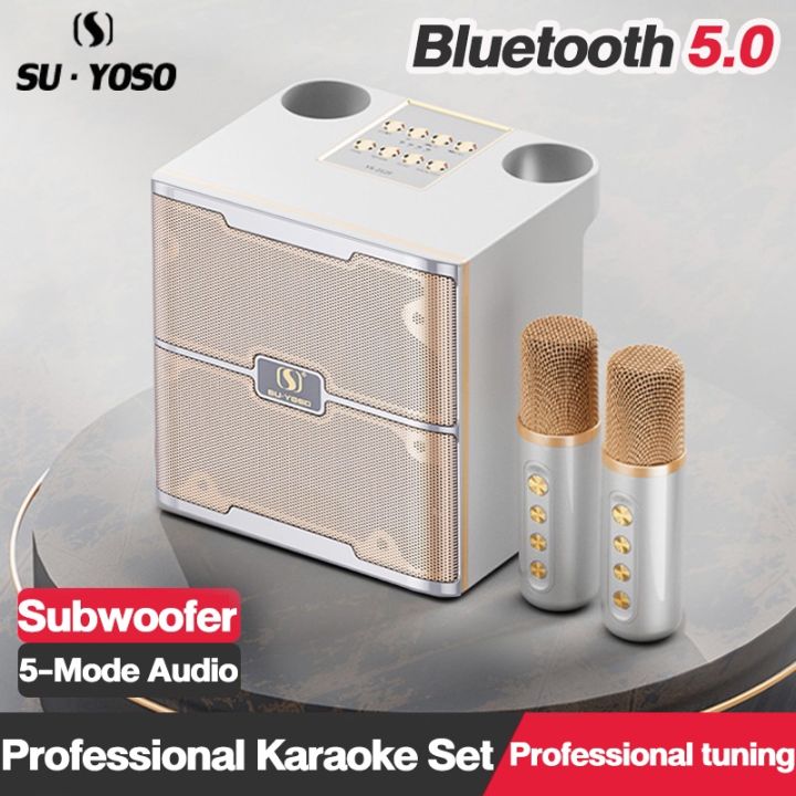 Ys Portable Karaoke Wireless Bluetooth Speaker With Two Wireless