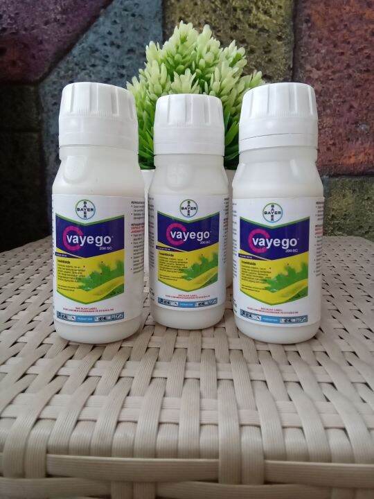 Insektisida Vayego 200SC 100ml Lazada Indonesia