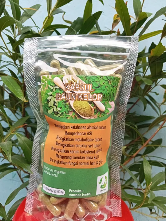 Kapsul Daun Kelor Lazada Indonesia