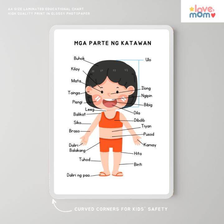 Minimalist Tagalog Parts Of The Body Girl Educational Wall Chart