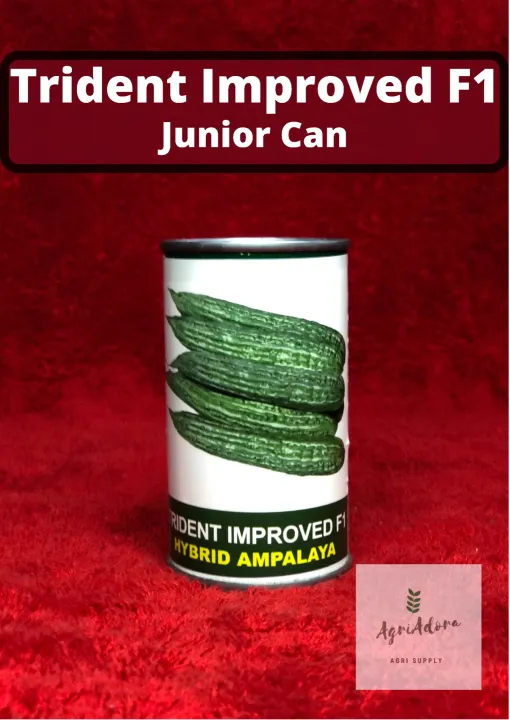 TRIDENT IMPROVED F1 Hybrid Ampalaya Junior Can Condor Quality Seeds