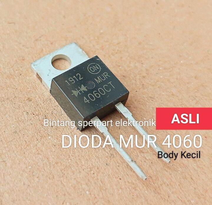 Mur Original Body Kecil Dioda Mur Asli Dioda Mur