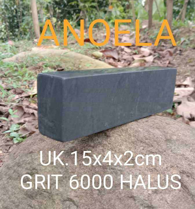 Batu Asah Asli Alam Grit Halus Dimensi X X Cm Lazada Indonesia