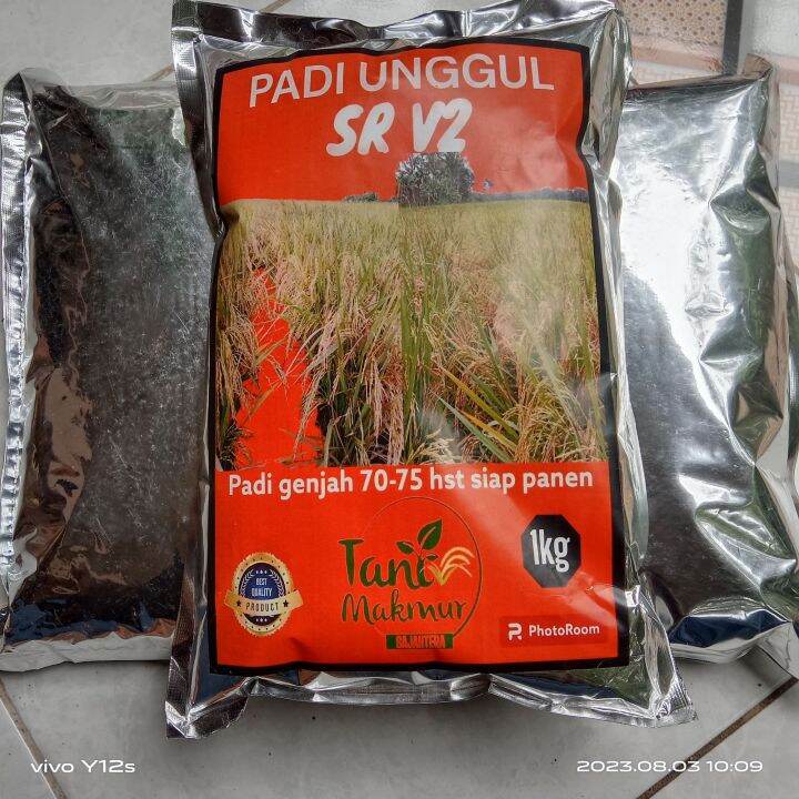 Benih Padi Unggul Sr V Genjah Kemasan Kg Original Produkk Lazada