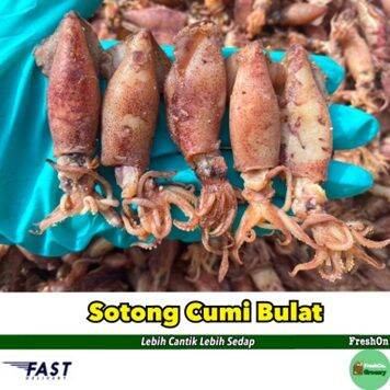 Sotong Cumi Bulat Kering Gred Aaa G G Halal Lazada