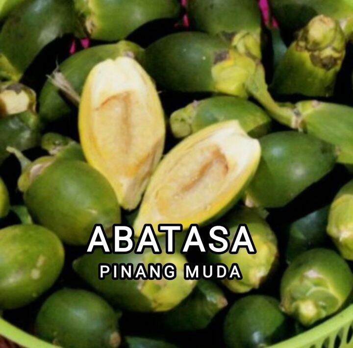 Buah Herbal Buah Pinang Muda Perkilo Obat Herbal Lazada Indonesia