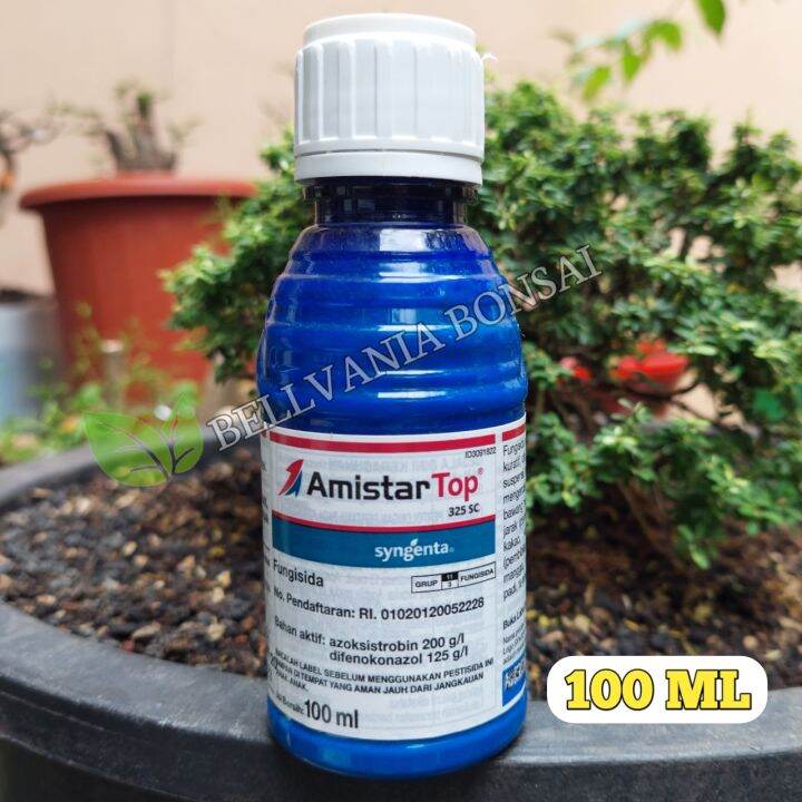 Amistar Top Sc Fungisida Ml Lazada Indonesia