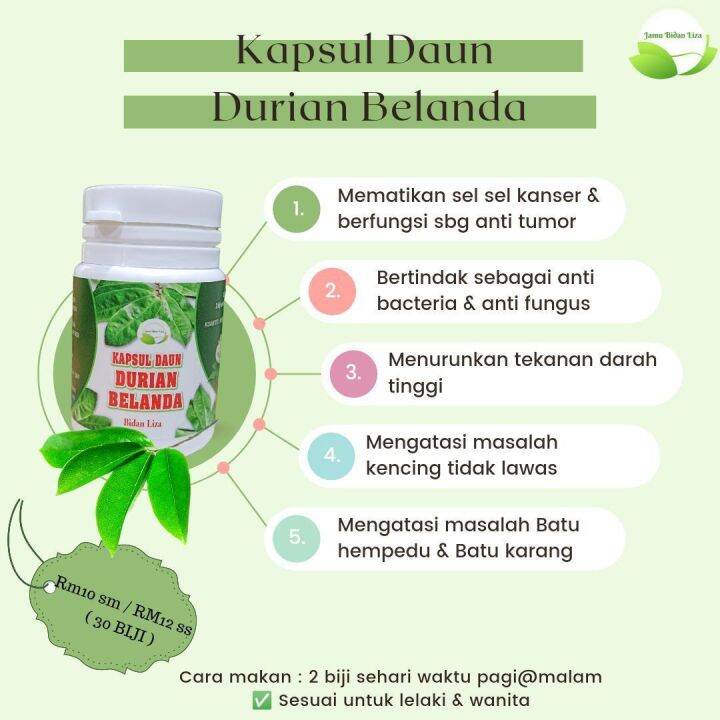 Kapsul Durian Belanda Bidan Liza 30 Biji Lazada