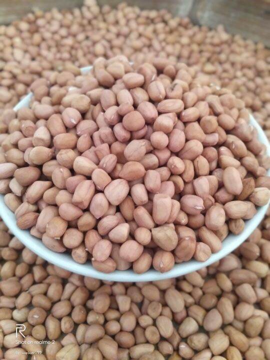 Kacang Tanah Super Kg Lazada Indonesia