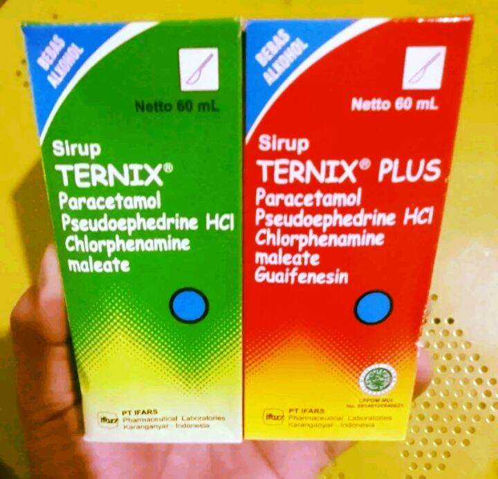 Ternix Plus Sirup Obat Flu Pilek Alergi Bersin Demam Sakit Kepala