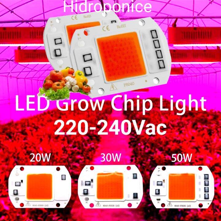 Led Cob V W W W Grow Light Hydroponic Hpl Chip Ic Tanpa Driver