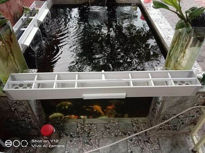 Top Filter Talang Kolam Cm Lazada Indonesia