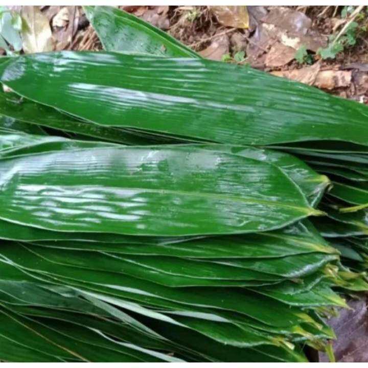 Daun Bambu Bakcang Segar Bungkus Bacang Per Lembar Lazada Indonesia