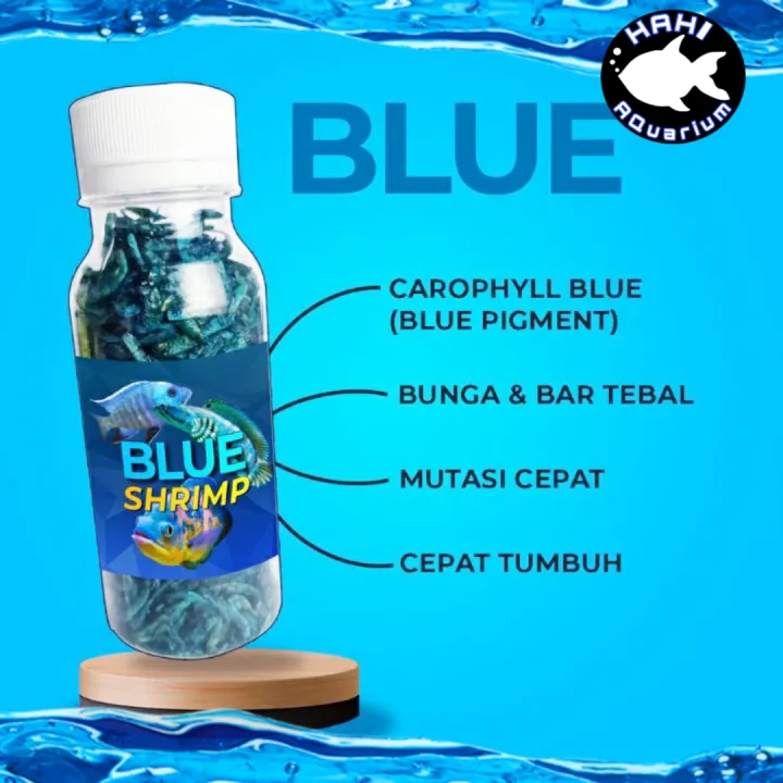 Blue Shrimp Udang Kering Plus CAROPHYLL Blue Pakan Ikan Channa Sentarum