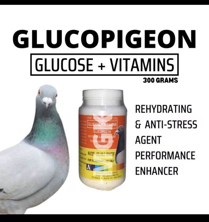 Arvet Glucopigeon Glucose Vitamins Stress Recovery Performance