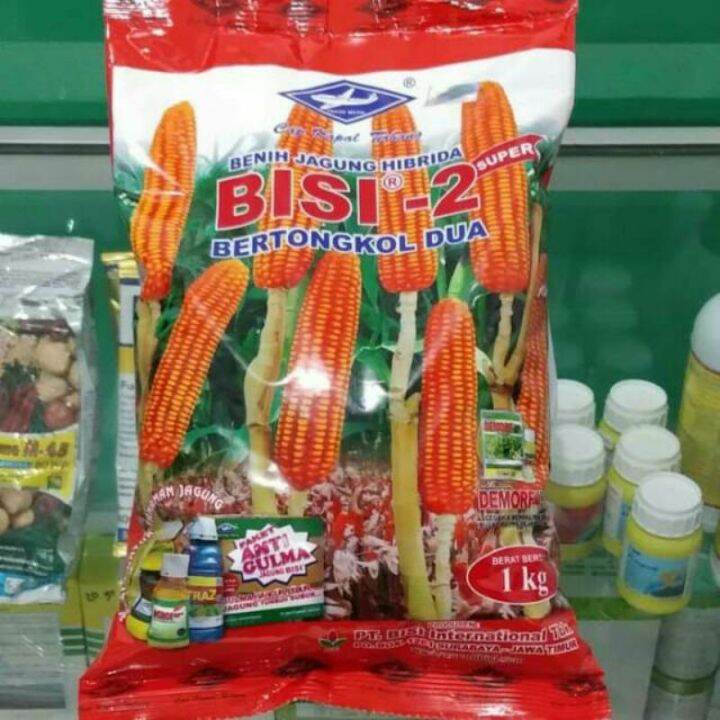 Benih Jagung HIBRIDA BISI 2 CAP Kapal Terbang 1kg Lazada Indonesia