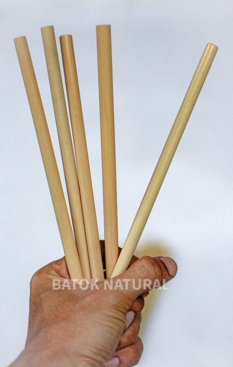 SEDOTAN BAMBU STRAW BAMBOO PANJANG 22 5CM KERAJINAN FOODGRADE Lazada