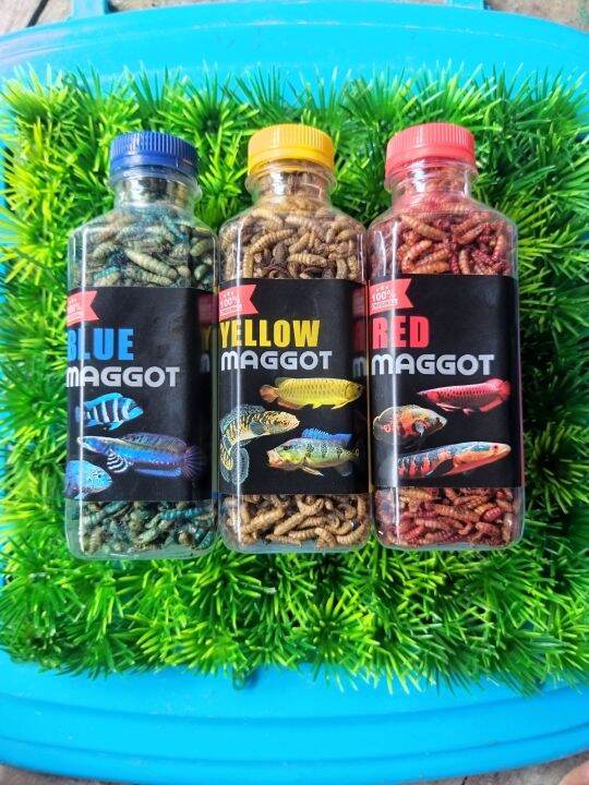 Pakan Ikan Predator Maggot Kering Grada A Original Kemasan Botol