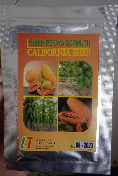 Benih Pepaya California Lutfi Tani Isi 60 Biji Original Lazada Indonesia