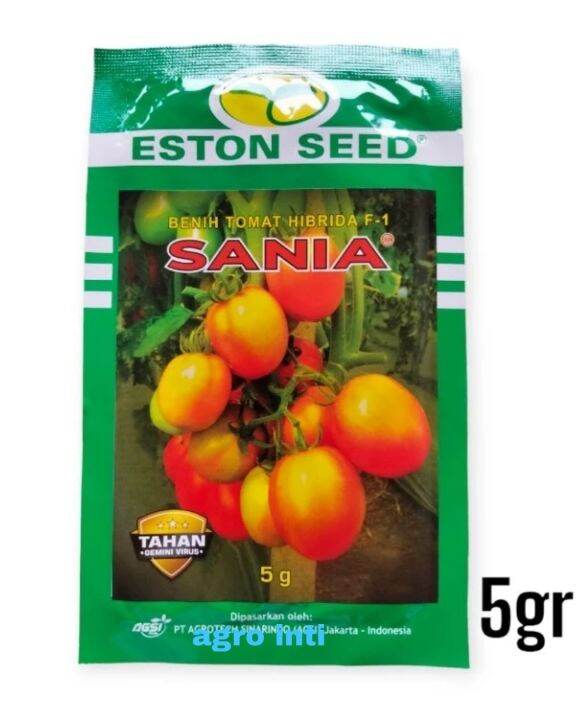 Benih Tomat Hibrida F Sania Isi Gram Dari Eston Seed Lazada Indonesia