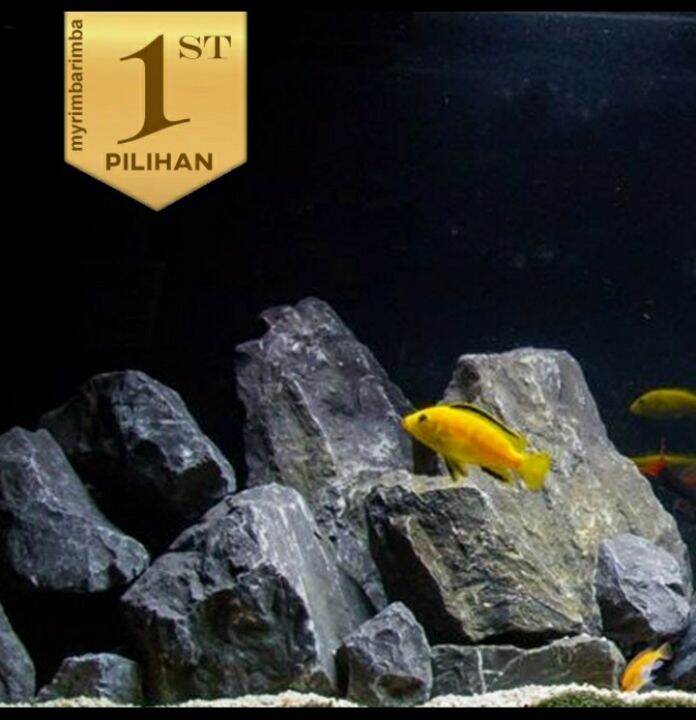 Batu Erangga Stone Aquascape Hiasan Aquarium Tanaman Ikan Hias Tawar