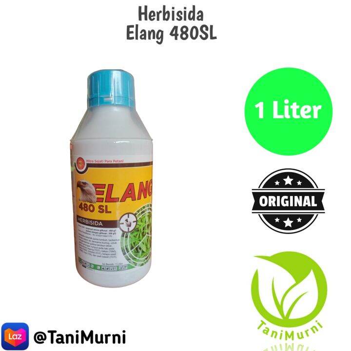 Elang 480SL Herbisida Pembasmi Hama Gulma Rumput Semprot Sistemik